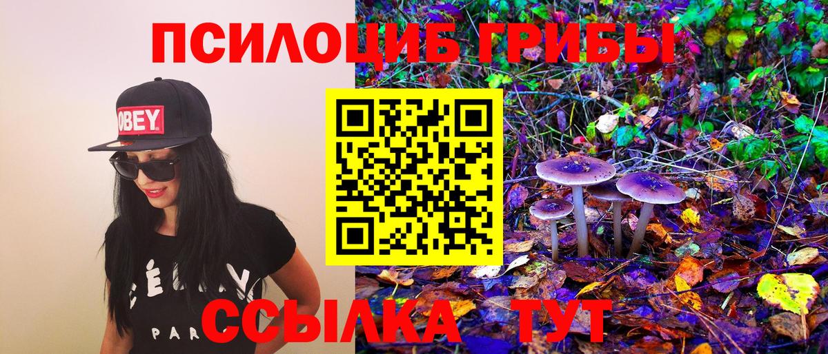 Псилоцибиновые грибы MAGIC MUSHROOMS  Вход с VPN  Кондопога 