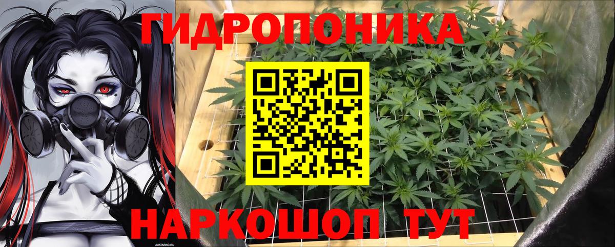 Кондопога  Конопля VHQ  Вход с VPN  Конопля семена  Марихуана планчик 